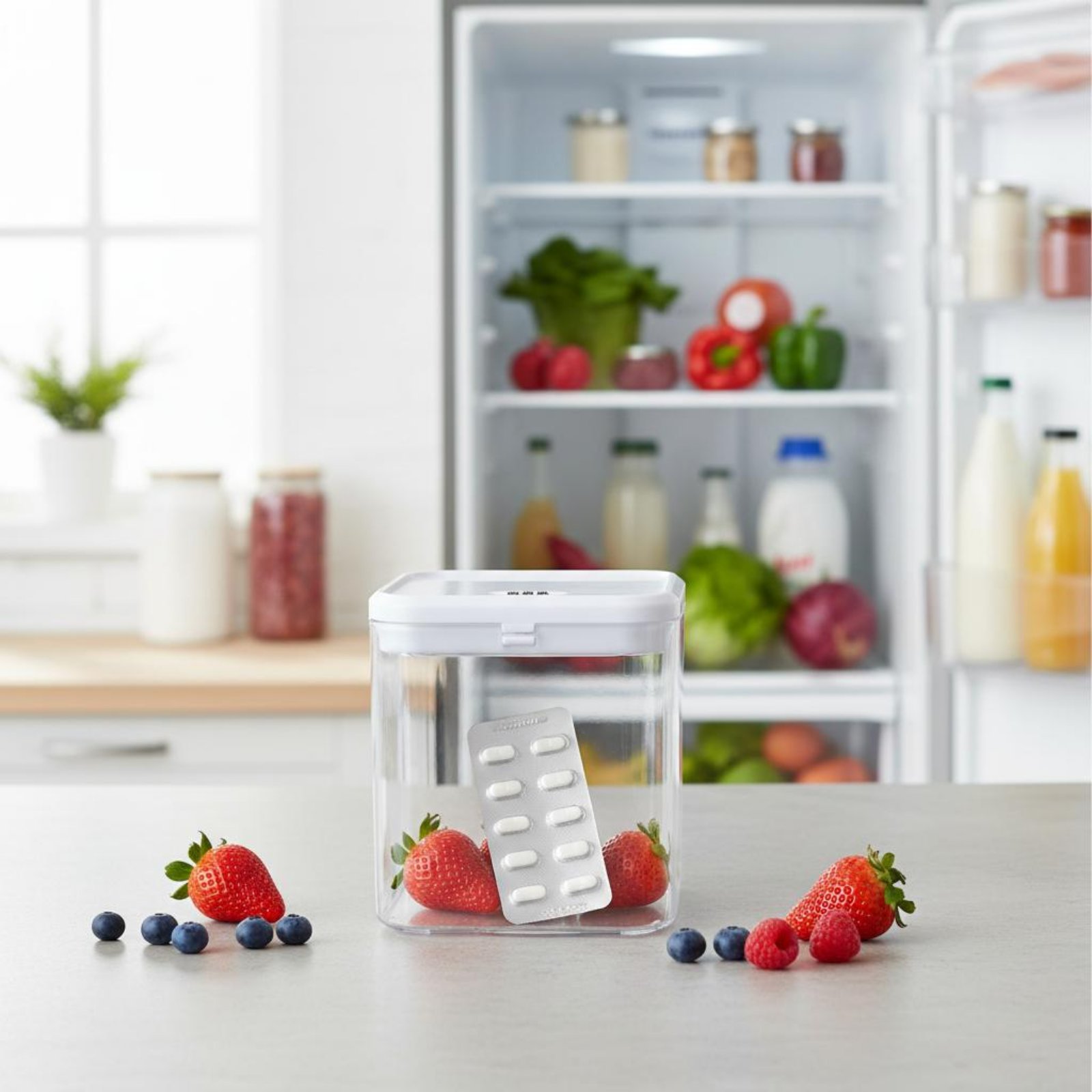 Clear Lockable Box Versatile L - Food & Snacks Pdf ulasan dan harga