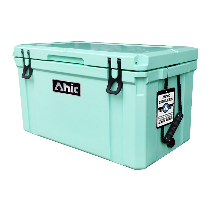 75L Insulated PE Ice Cooler Bo - Food & Snacks Pdf ulasan dan harga